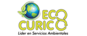 ecocurico