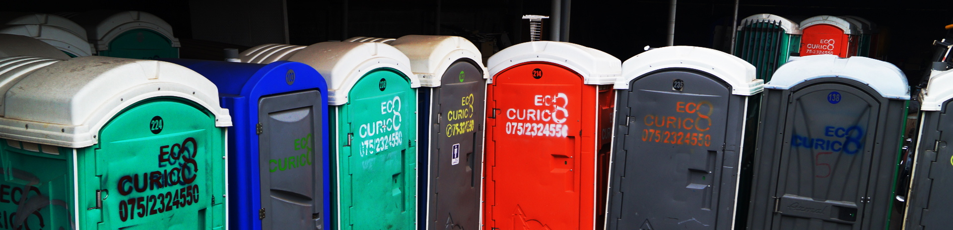 Ecocurico